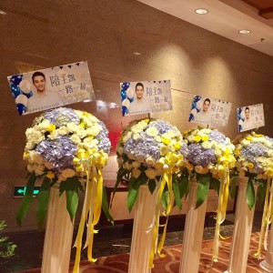 #王凯8.18生日会门票# 试用报告