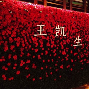 #王凯8.18生日会门票# 试用报告