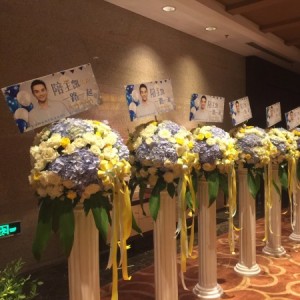 #王凯8.18生日会门票# 试用报告
