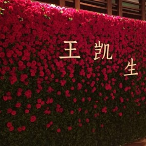 #王凯8.18生日会门票# 试用报告