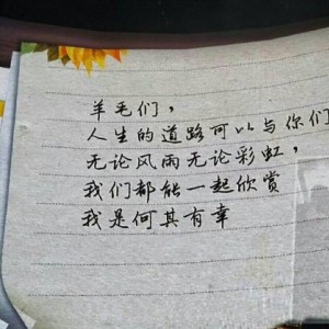 #杨洋2017生日会门票# 试用报告