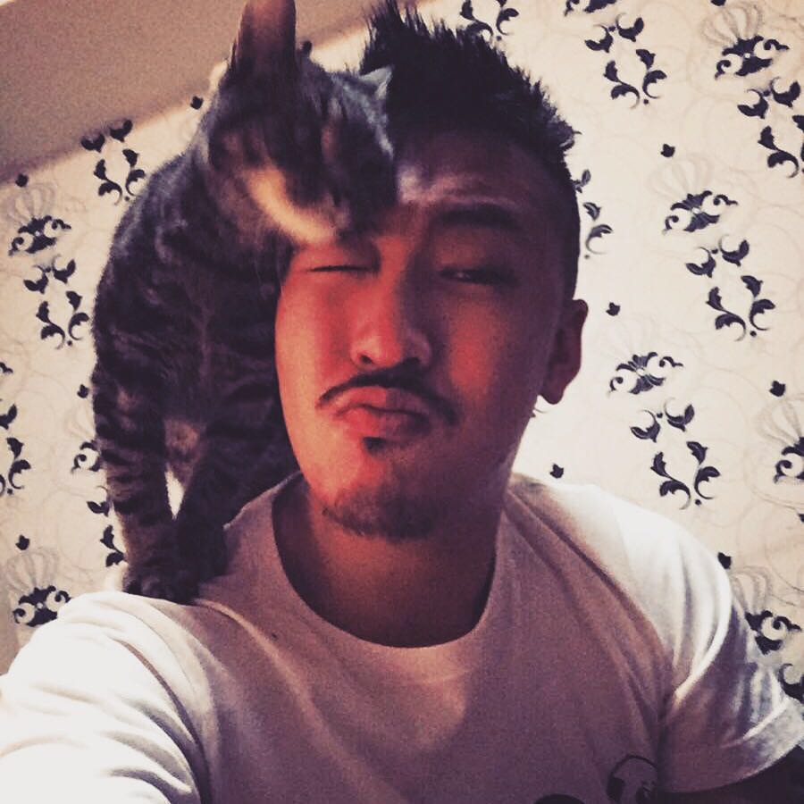 高冷